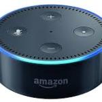 Voice-assist devices